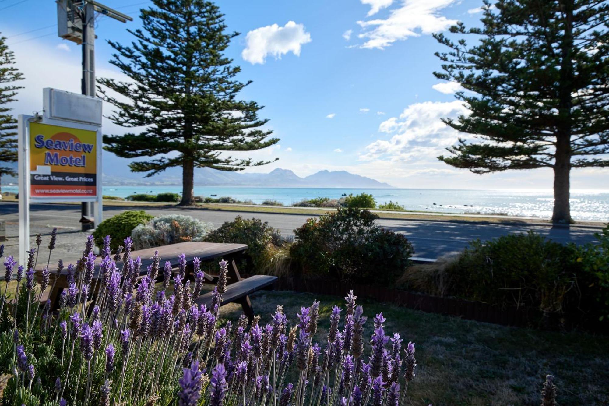 Sea View Motel - Unit 5 Kaikoura Kültér fotó